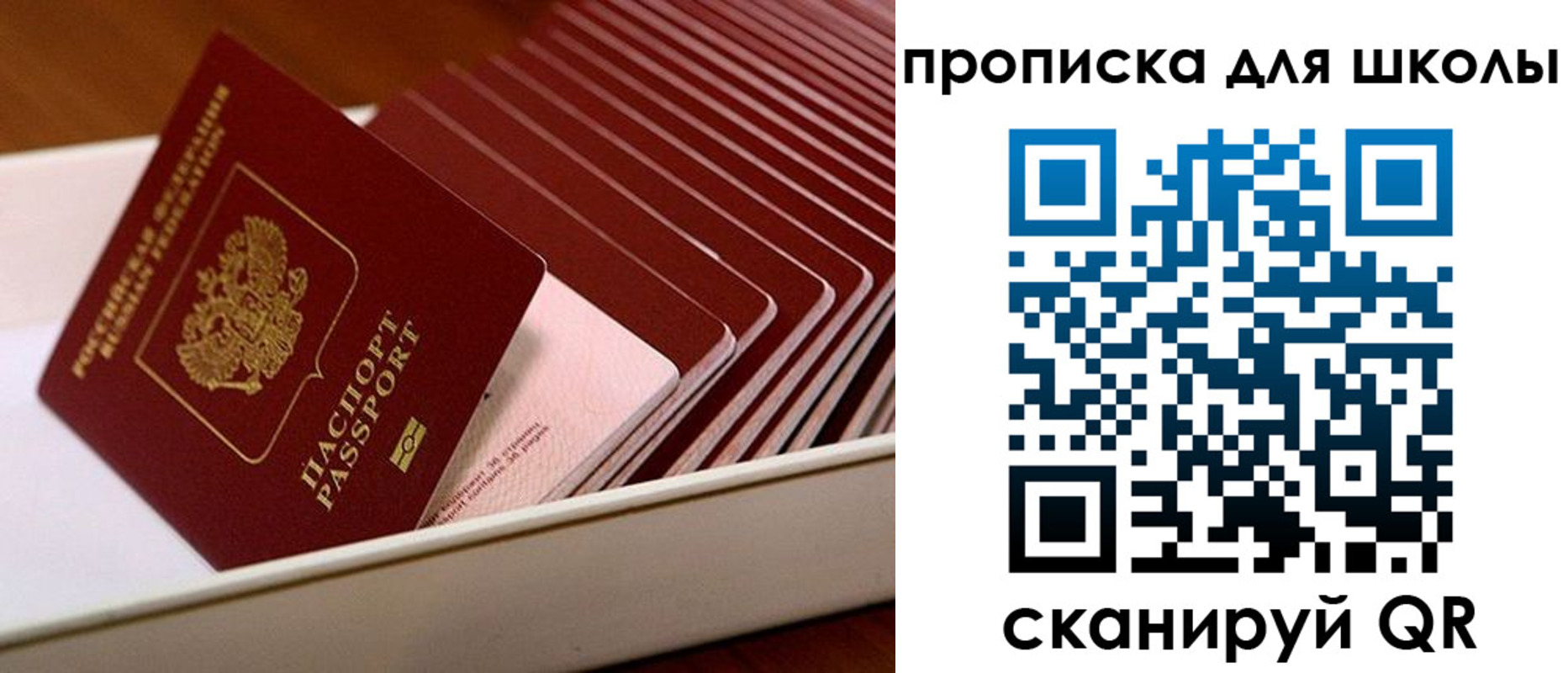 временная регистрация гарантия в Ясном